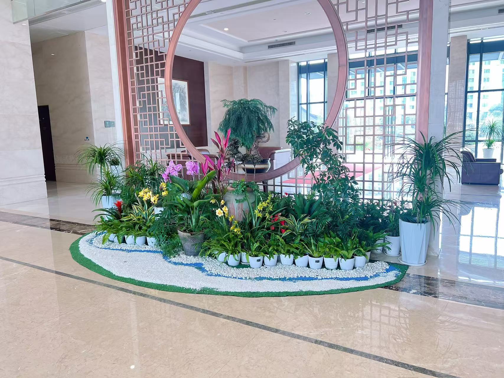 镇海盆景租摆公司